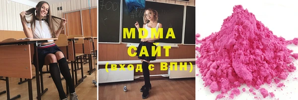 apvp Инсар