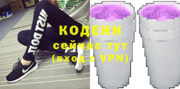 apvp Инсар