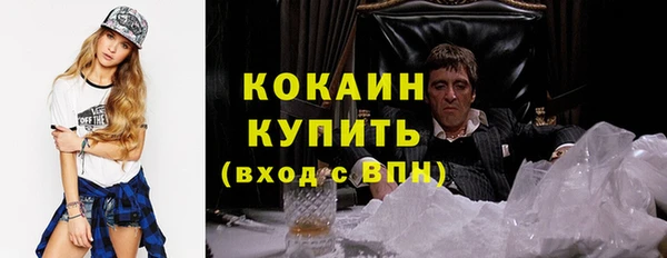 дмт Тайга