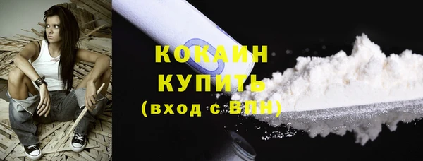 apvp Инсар