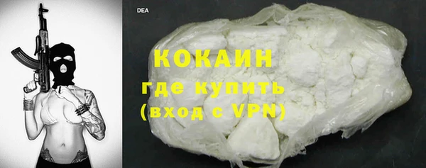 apvp Инсар