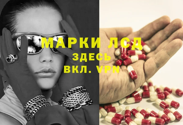 apvp Инсар