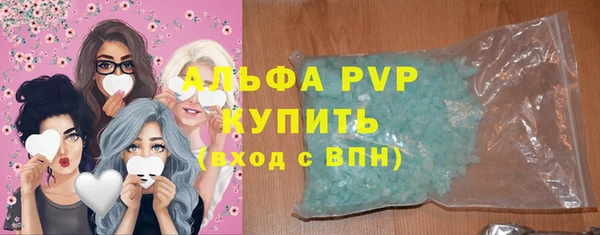 apvp Инсар