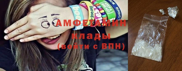 apvp Инсар