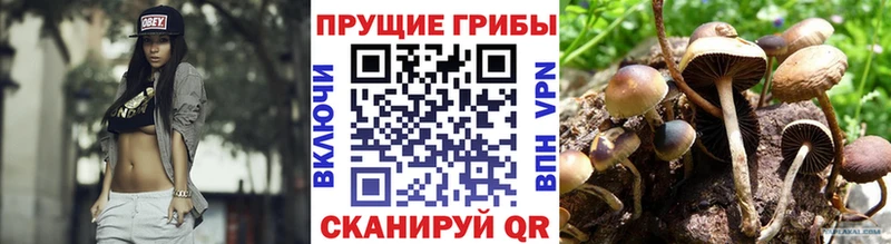 Купить  Егорьевск  Псилоцибиновые грибы Magic Shrooms 